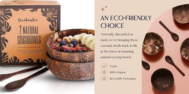 Eco-Friendly Coconut Bowl Set with Wooden Spoons (2)
