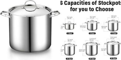 Cooks Standard 16-Quart Stainless Steel Stockpot with Lid
